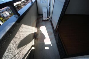 八戸ノ里駅 徒歩8分 2階の物件内観写真